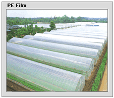polyethylene greenhouse film